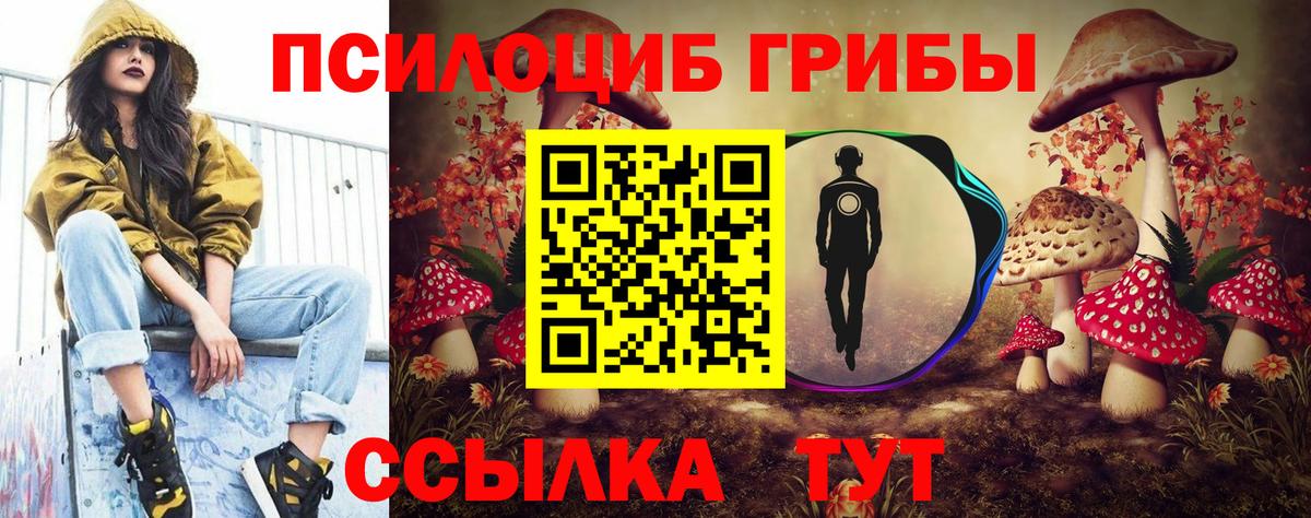 Псилоцибиновые грибы Psilocybine cubensis Кунгур