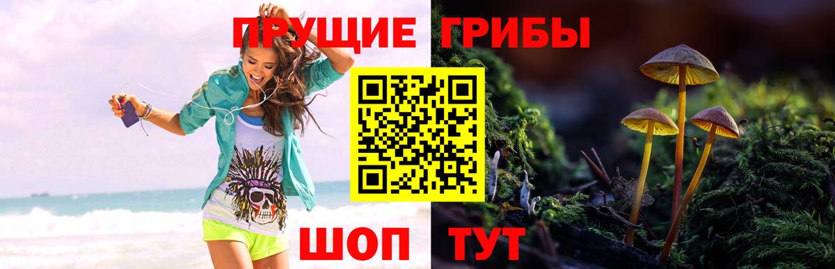 Кунгур  Галлюциногенные грибы мухоморы  купить  цена  Вход с VPN 